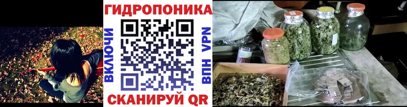 Каннабис White Widow  дарк нет официальный сайт  Кстово 
